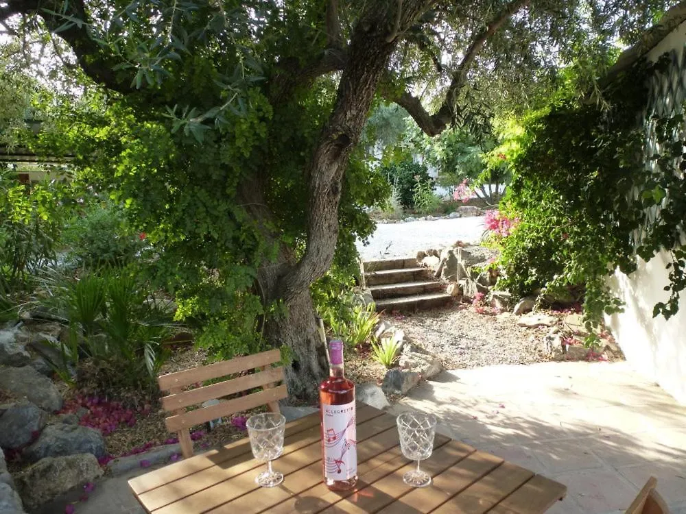 Finca Roca Vista, Adults Only 阿尔豪林格朗德 住宿加早餐酒店